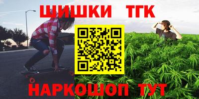твердый Камышлов