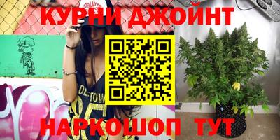 твердый Камышлов